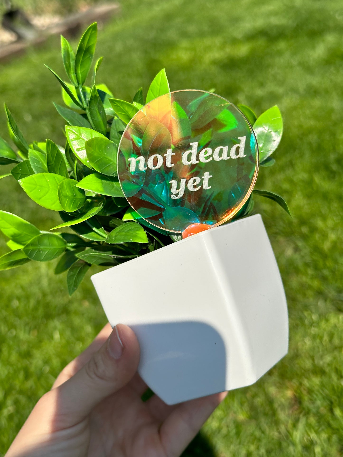 Not Dead Yet Iridescent Acrylic Plant Stake
