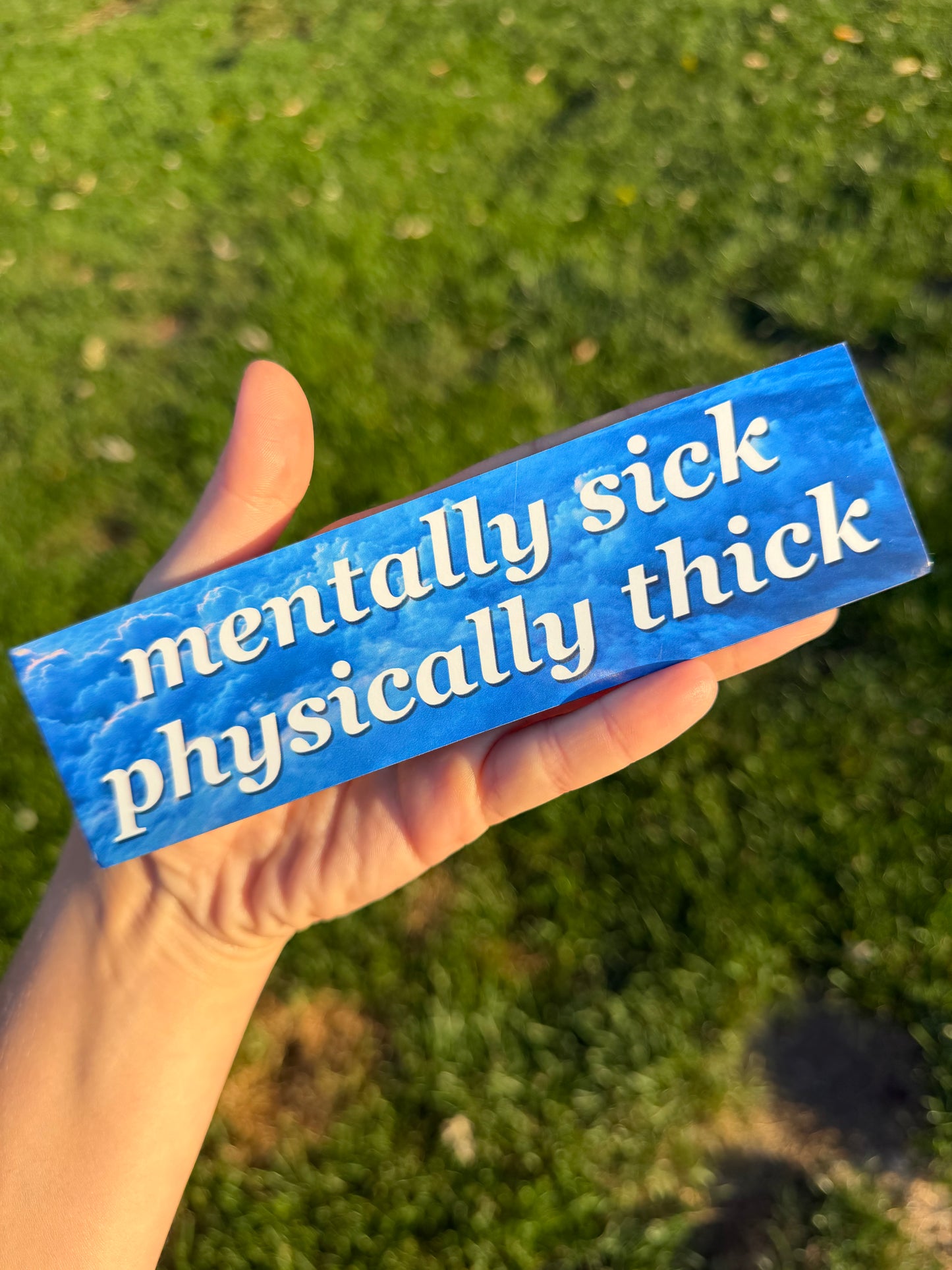 Mentally Sick Physically Thick Car Magnet