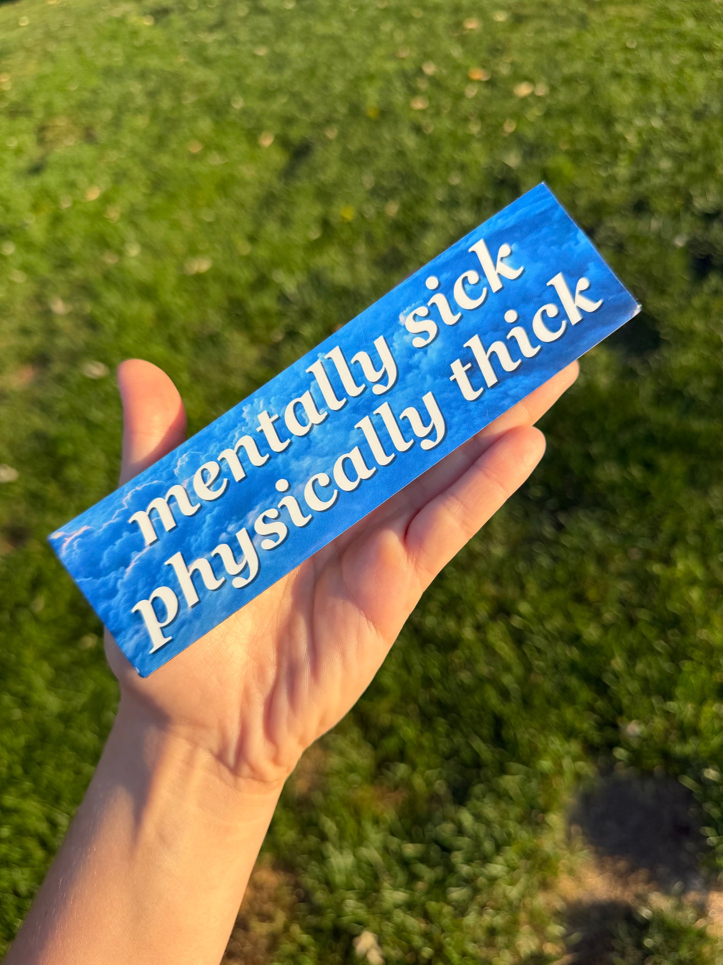 Mentally Sick Physically Thick Car Magnet
