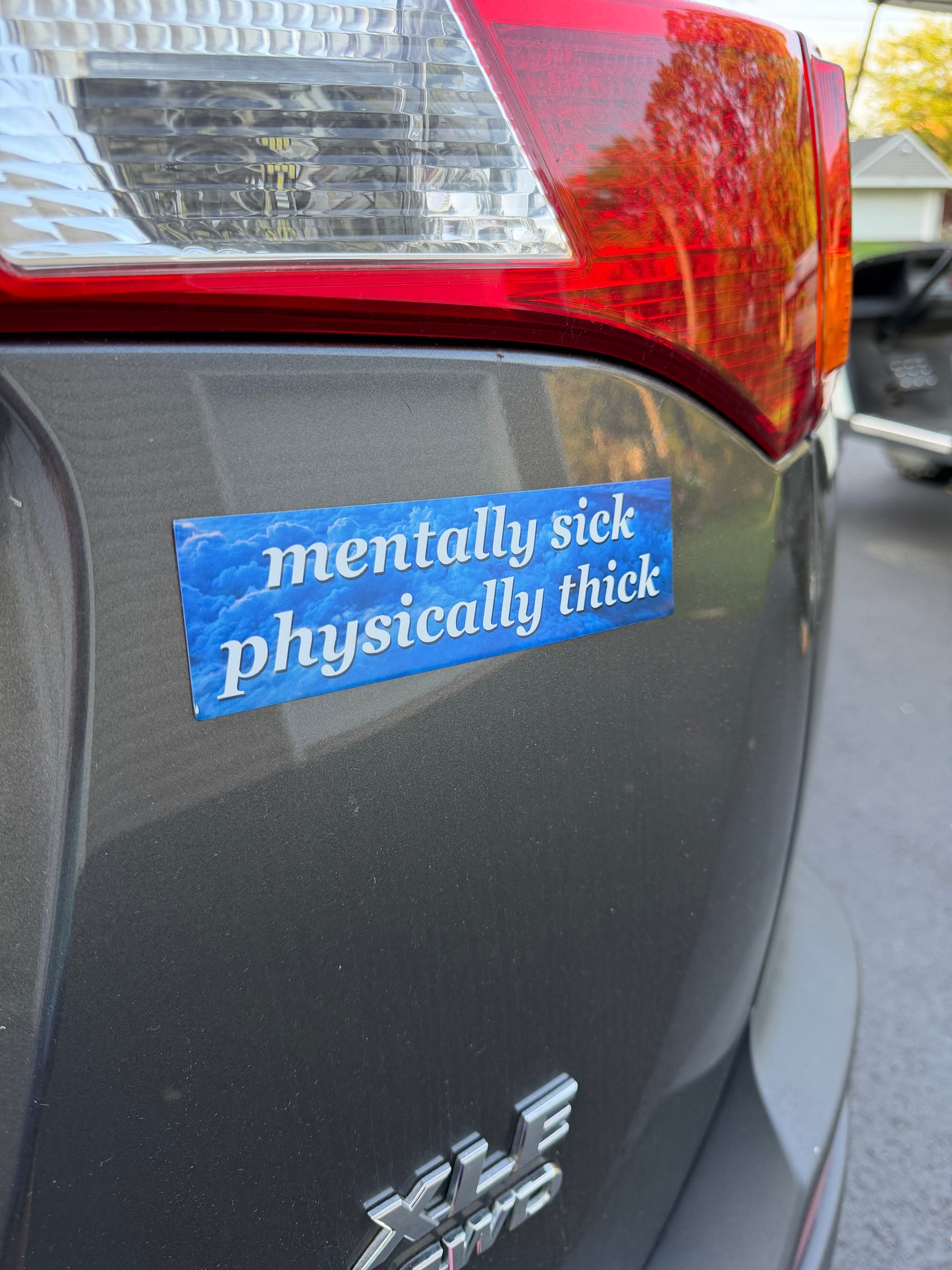 Mentally Sick Physically Thick Car Magnet