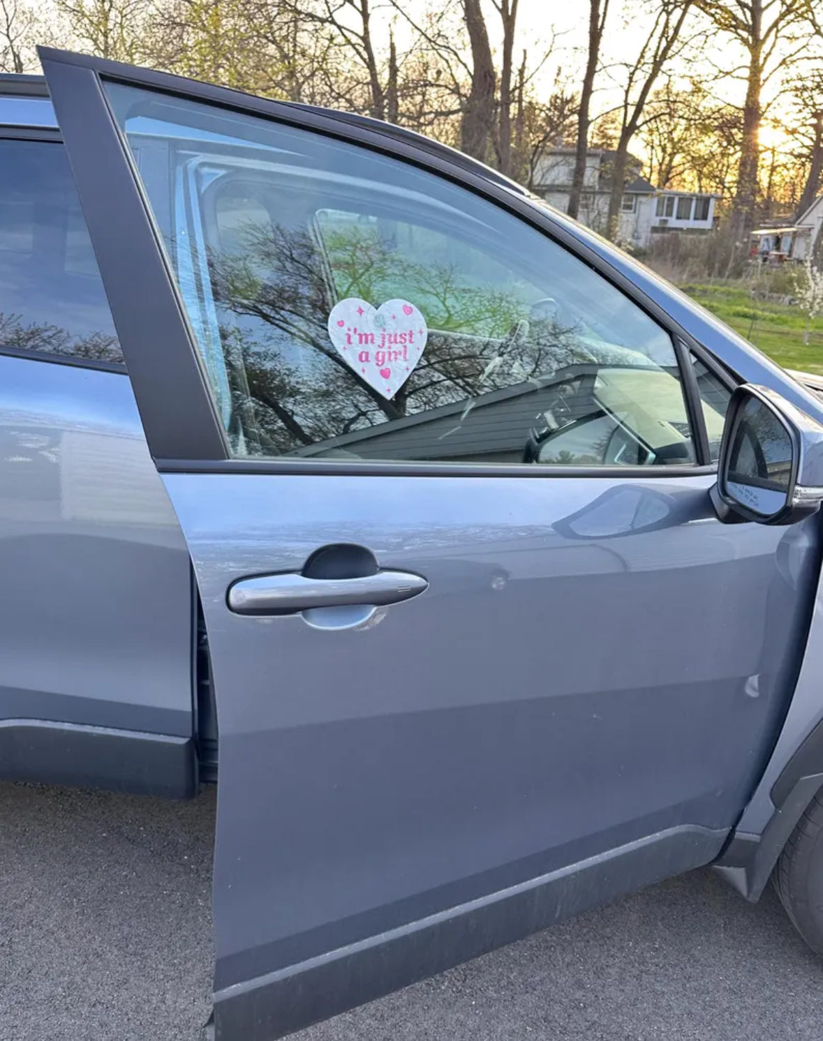 I'm Just A Girl Cute Pink Car Sign