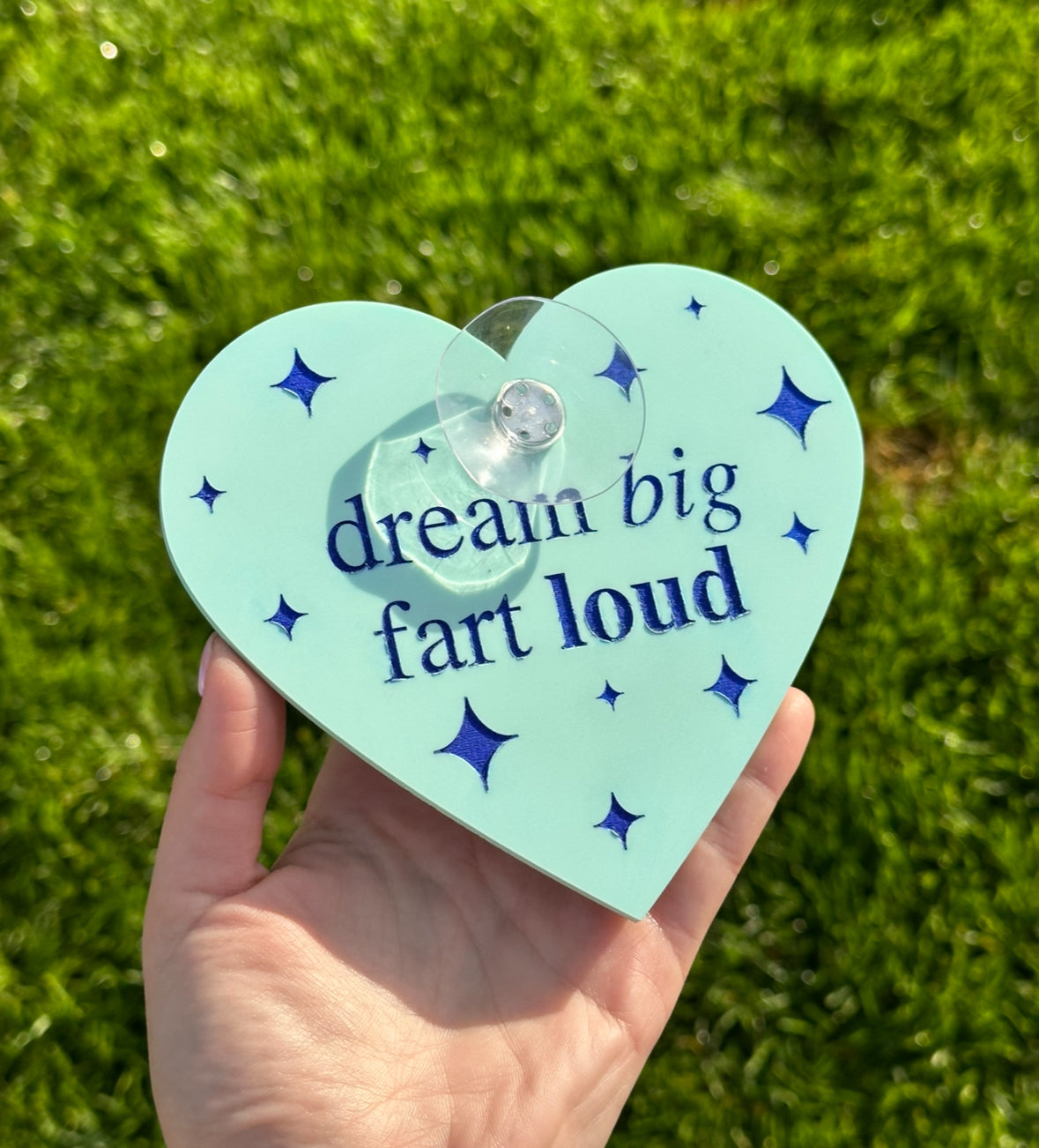 Dream Big Fart Loud Cute Blue Car Sign