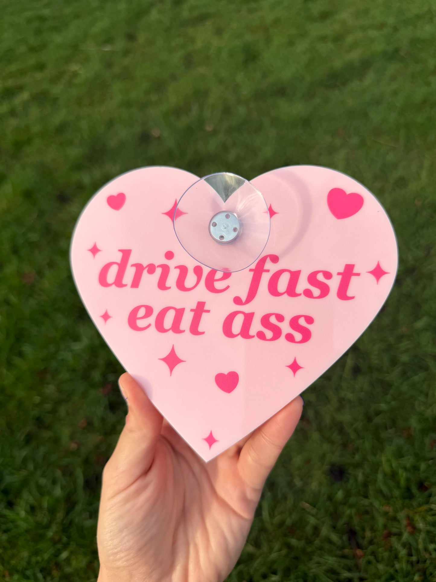 Drive Fast Eat Ass Cute Pink Car Sign