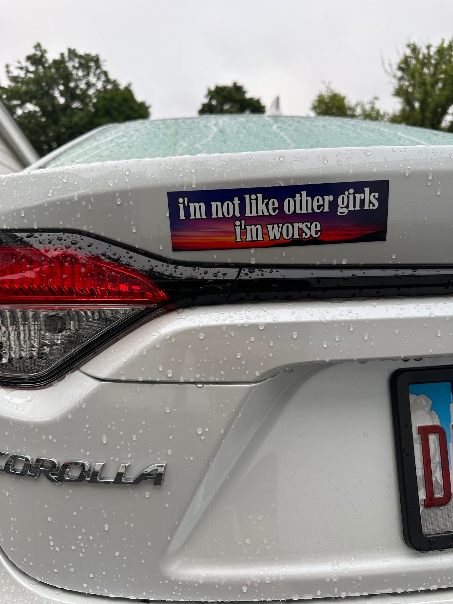 I’m Not Like Other Girls I’m Worse Car Magnet