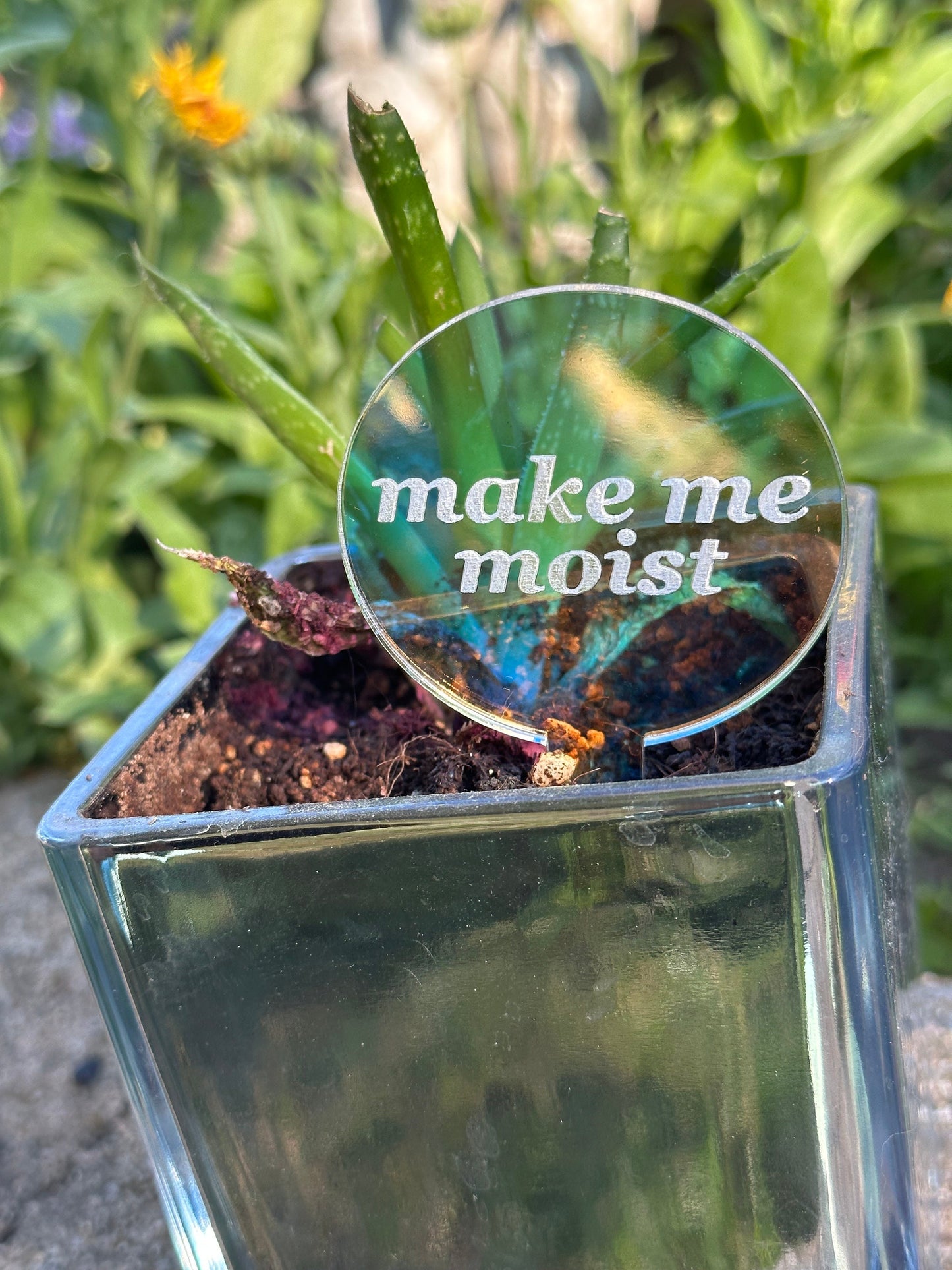 Make Me Moist Iridescent Acrylic Plant Stake