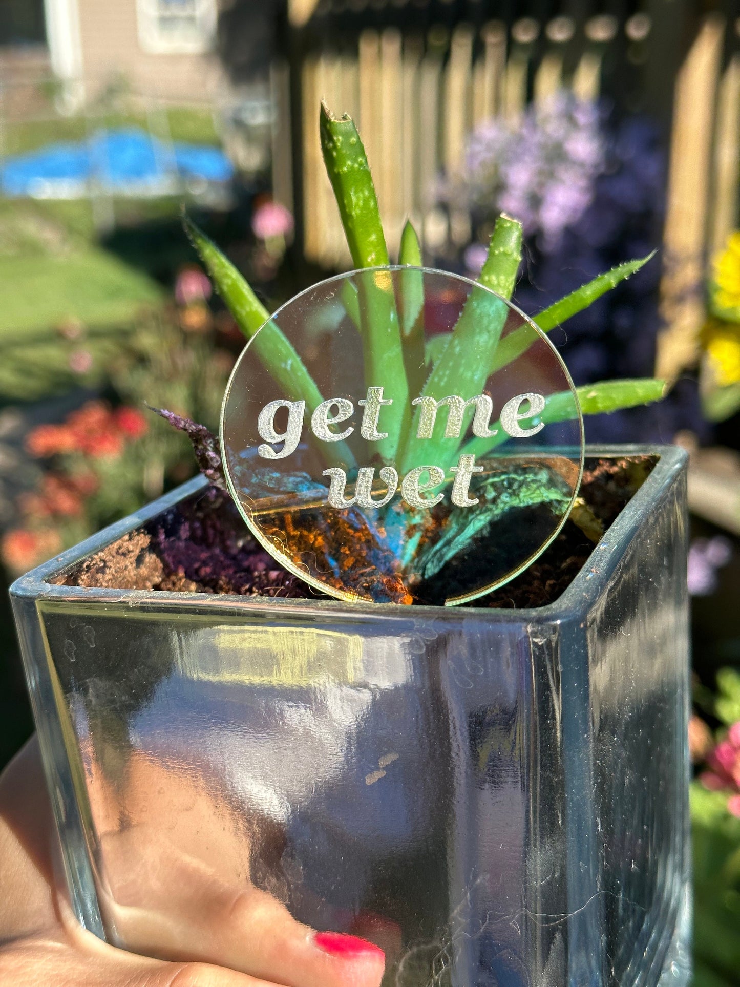 Get Me Wet Iridescent Acrylic Plant Stake