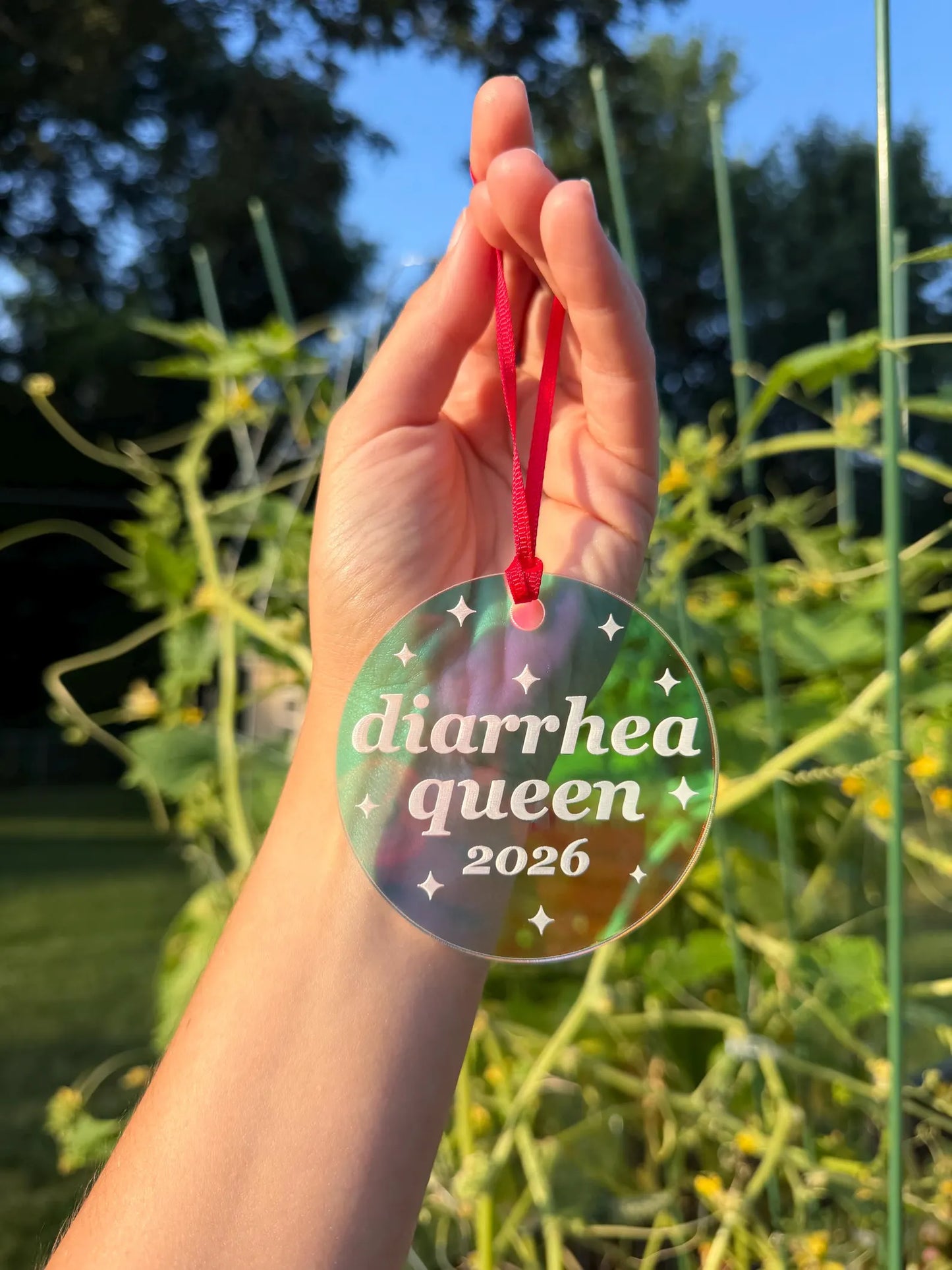 Iridescent Diarrhea Queen 2026 Christmas Ornament