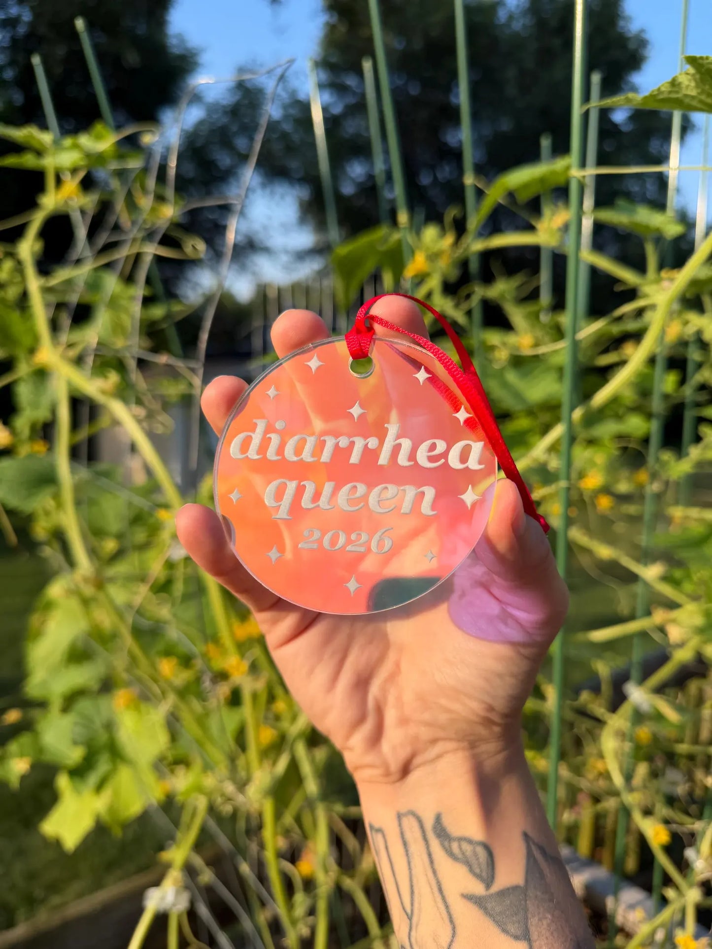 Iridescent Diarrhea Queen 2026 Christmas Ornament
