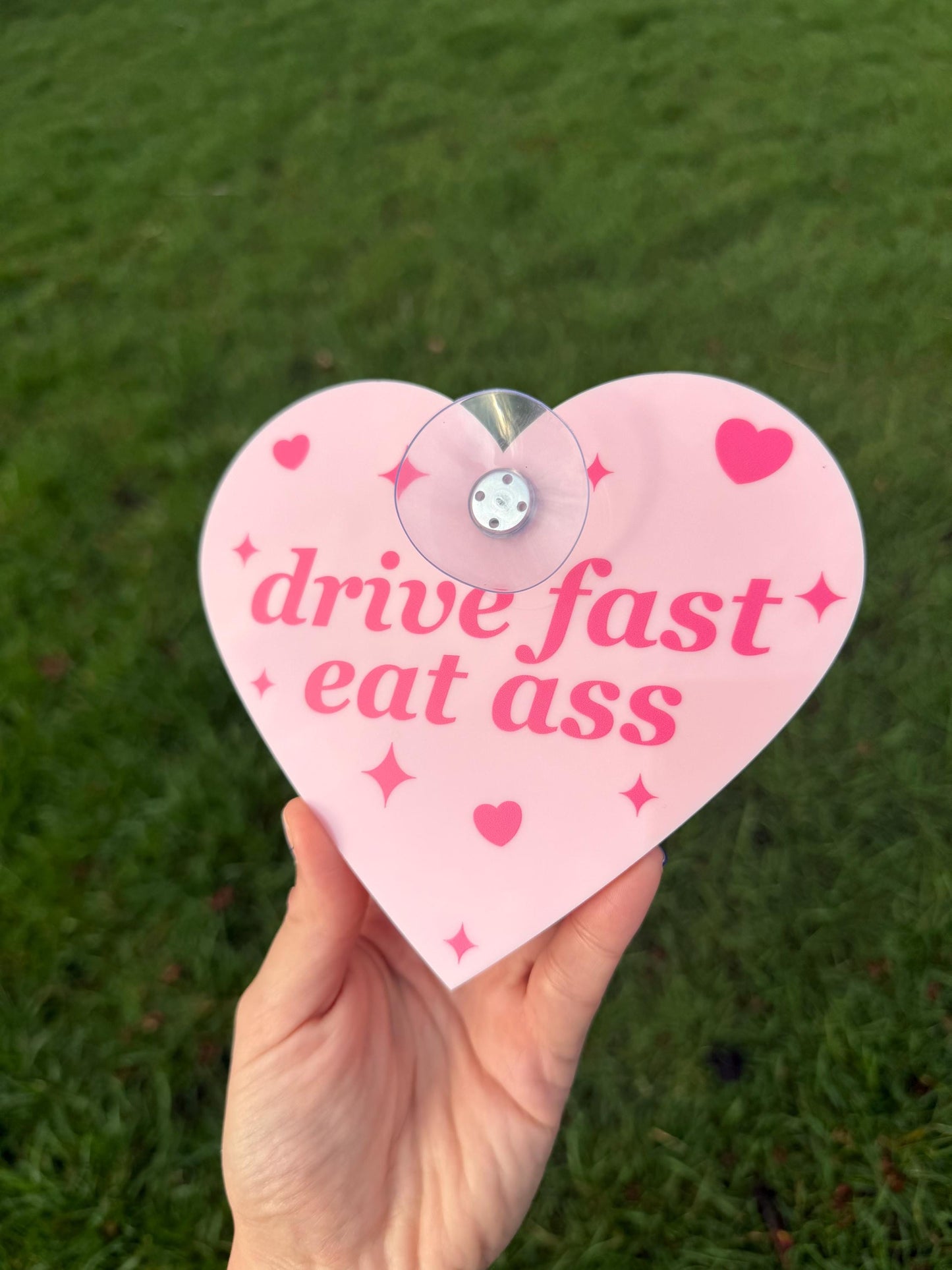 Drive Fast Eat Ass Cute Pink Car Sign