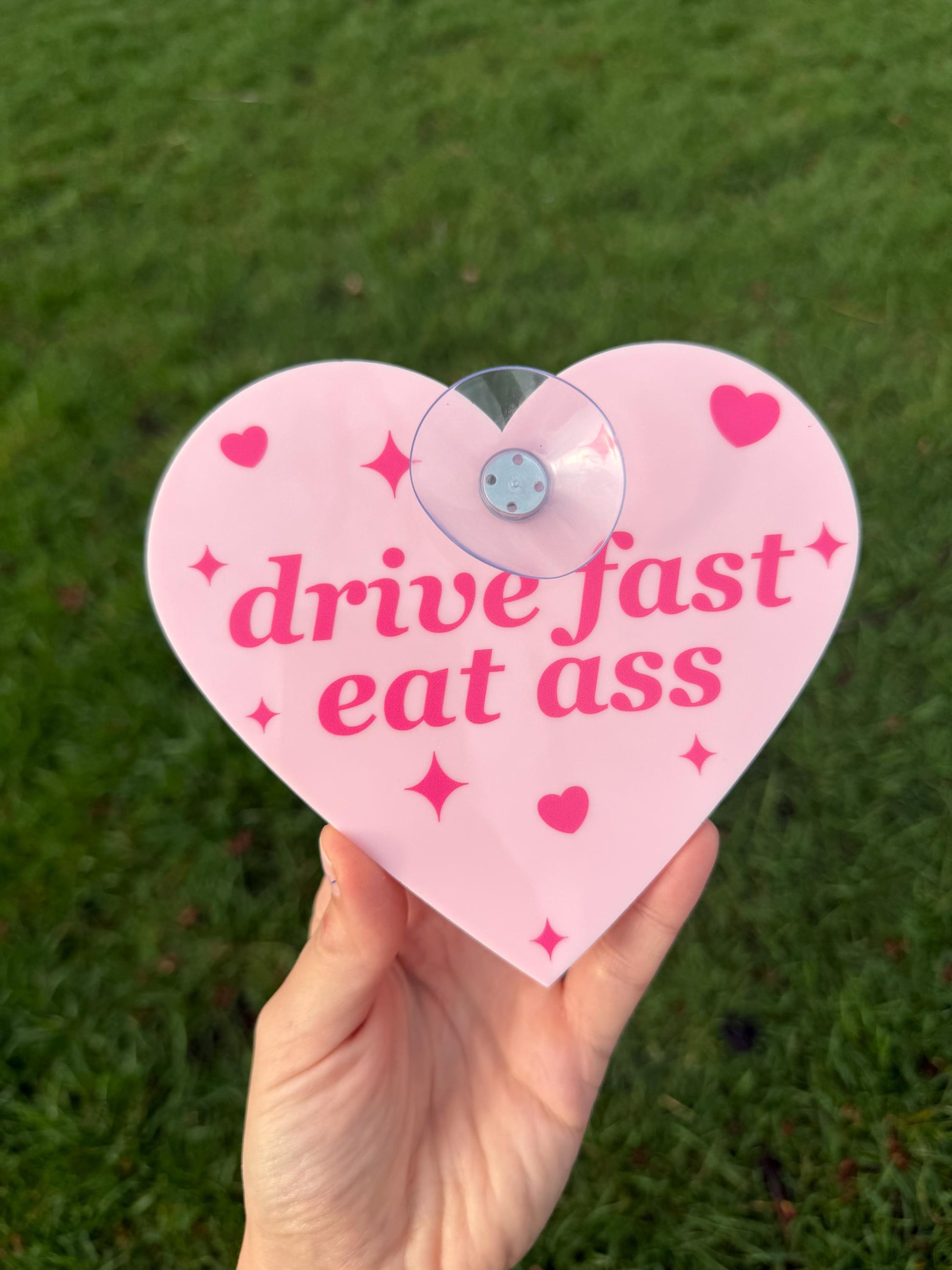 Drive Fast Eat Ass Cute Pink Car Sign