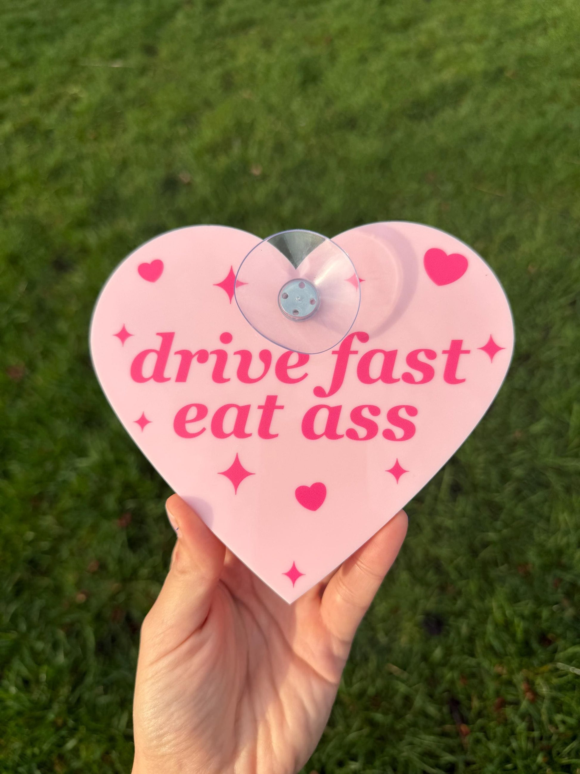 Drive Fast Eat Ass Cute Pink Car Sign