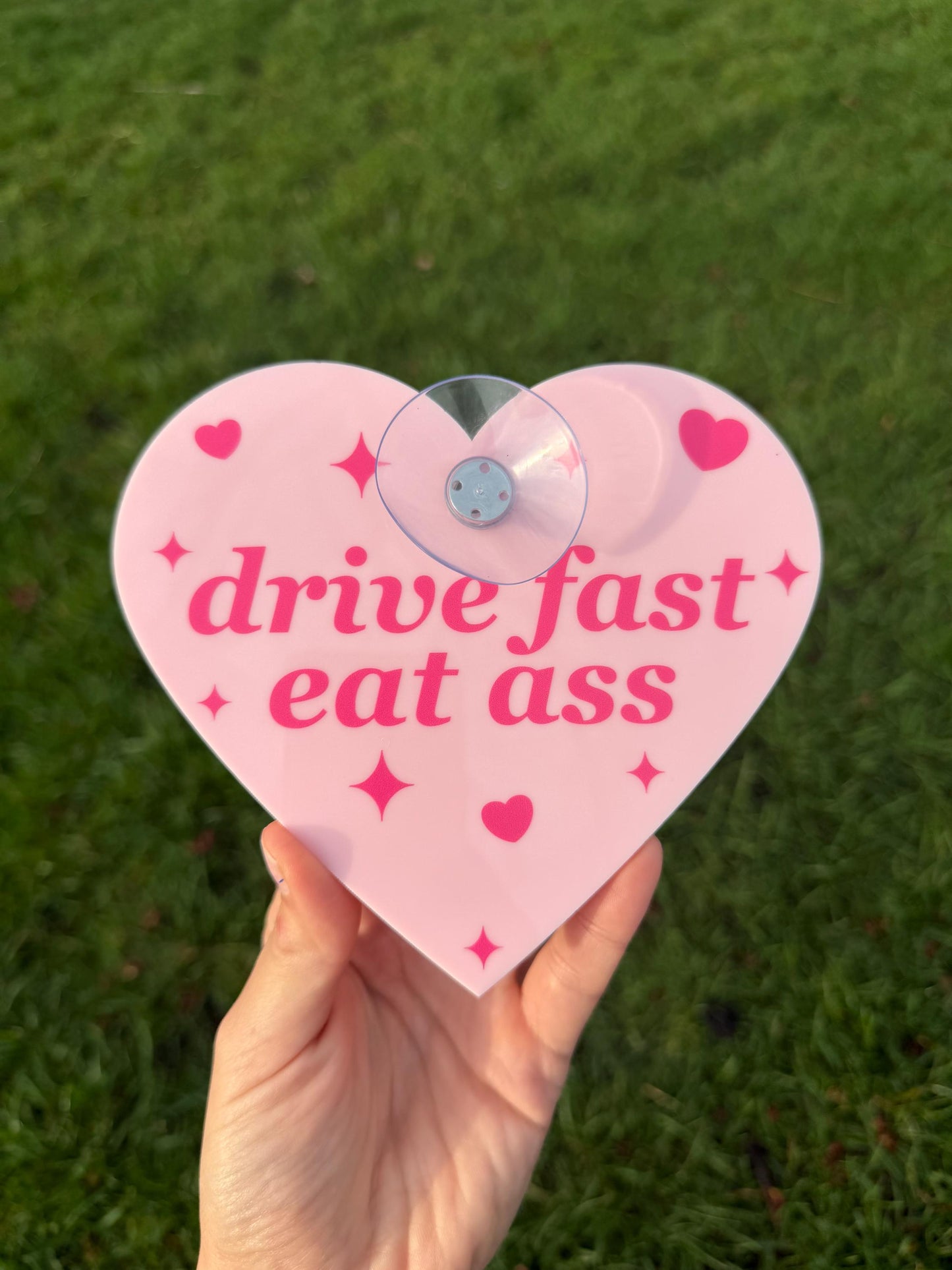 Drive Fast Eat Ass Cute Pink Car Sign