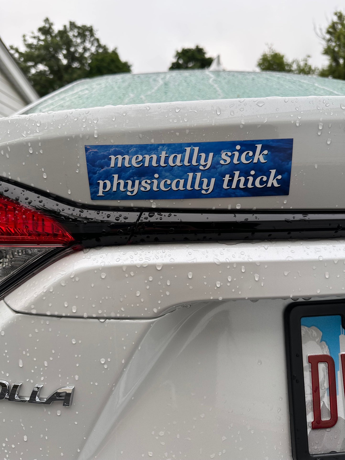 Mentally Sick Physically Thick Car Magnet