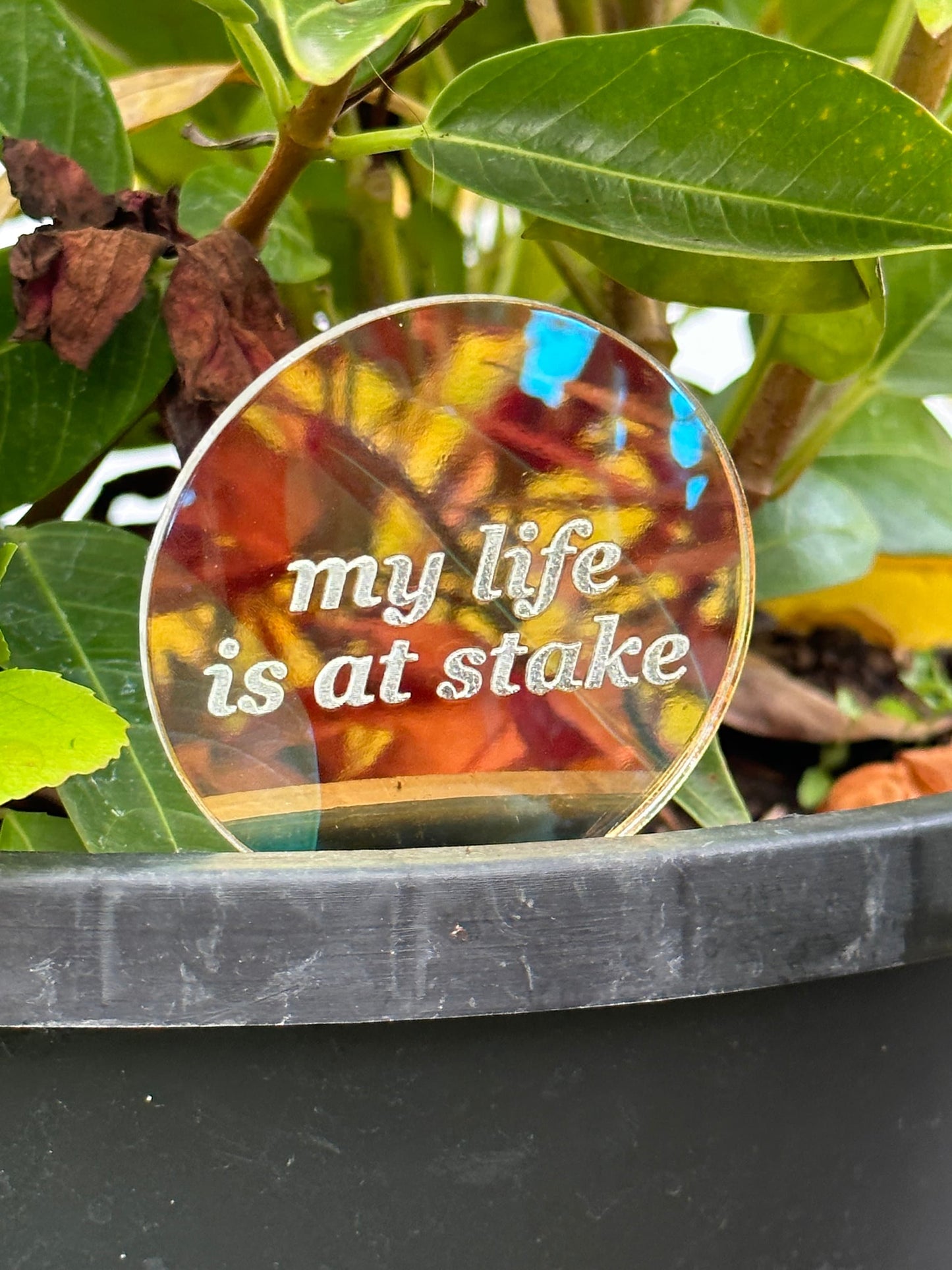 My Life Is At Stake Iridescent Acrylic Plant Stake