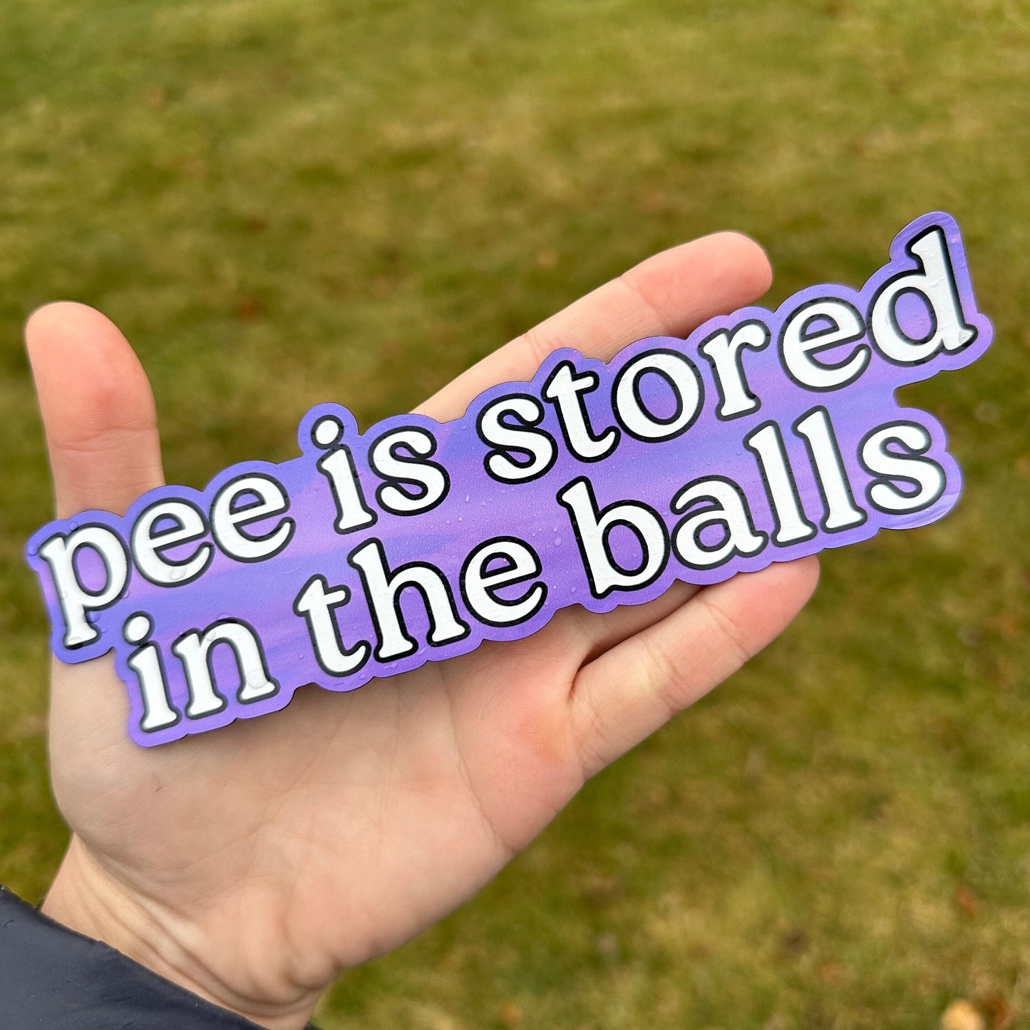 Pee Is Stored In The Balls Car Magnet