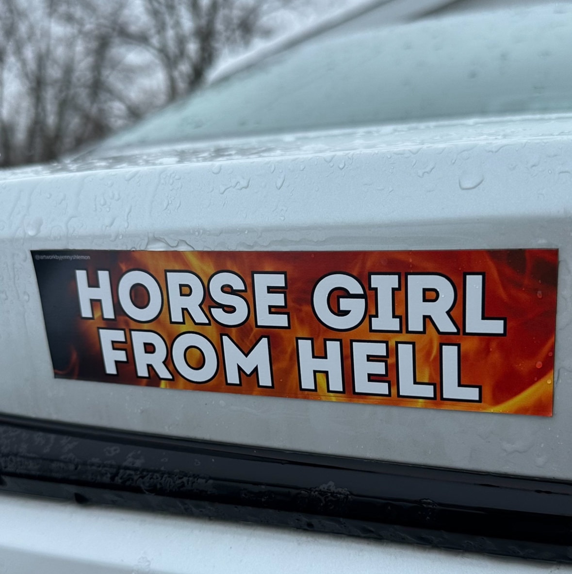 Horse Girl From Hell Car Magnet